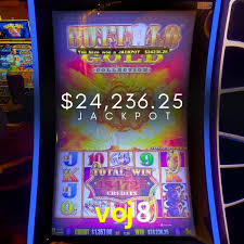 A Experiência Imersiva dos Cassinos Ao Vivo no voj8